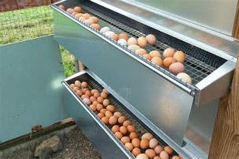 metal laying boxes chickens|best chicken nesting box design.